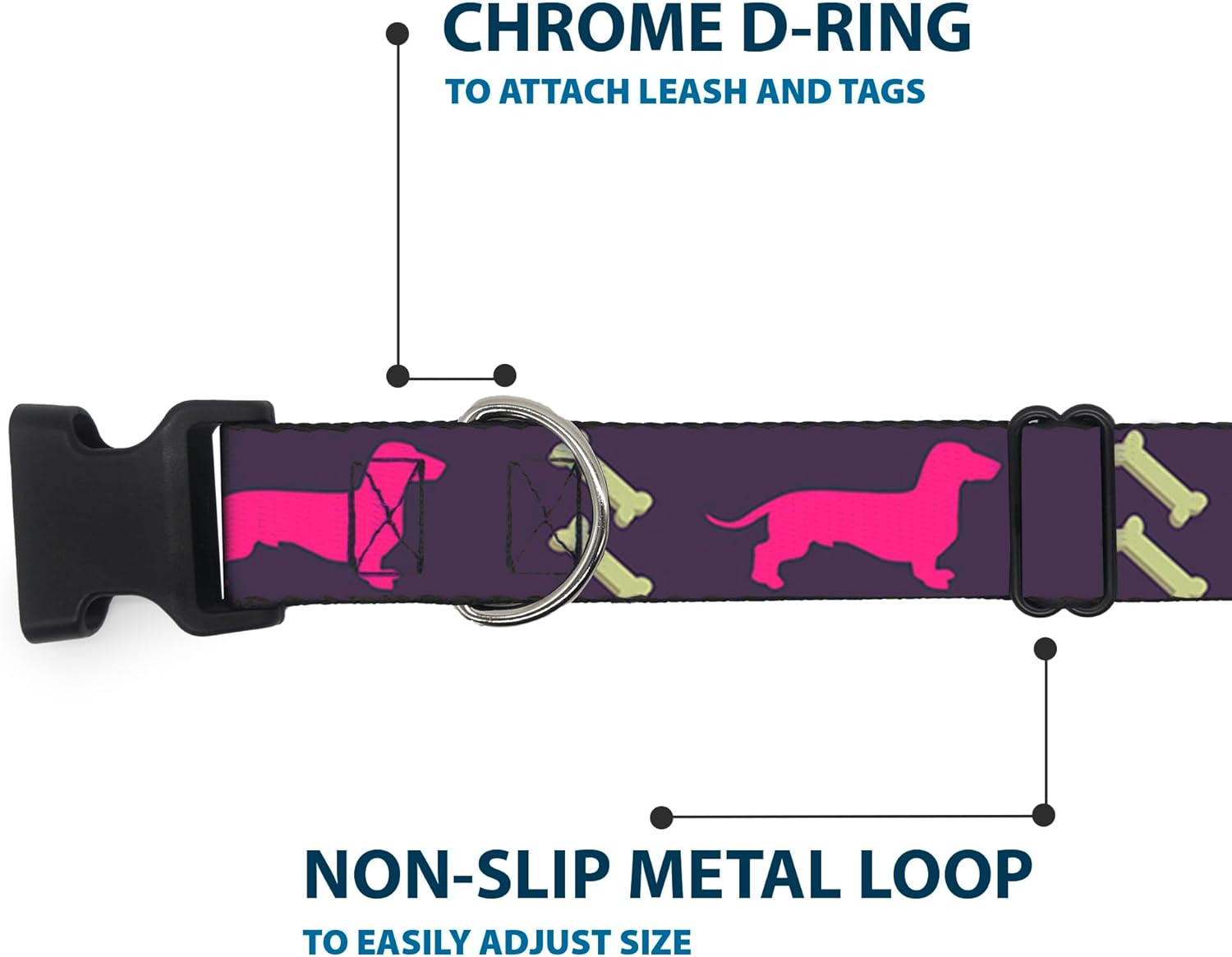 Buckle-Down Plastic Clip Collar - Dachshunds & Bones Purple/Fuchsia/Green - 1.5" Wide - Fits 16-23" Neck - Medium
