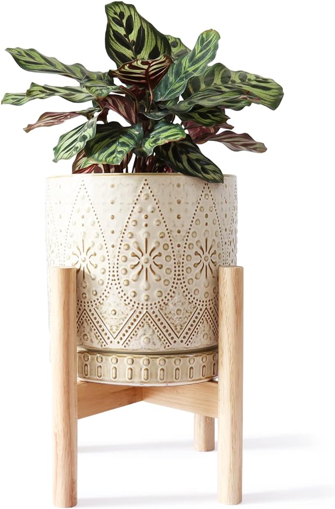 8 Inch Plant Pot with Stand