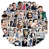 Funny Stickers for Kids Teens (51pcs Pack), Dream Catching Waterproof Vinyl Stickers for Laptop, Water Bottles, Computer, Phone, Car Stickers and Decals, As Gifts for Boys Girls Teens (51pcs)