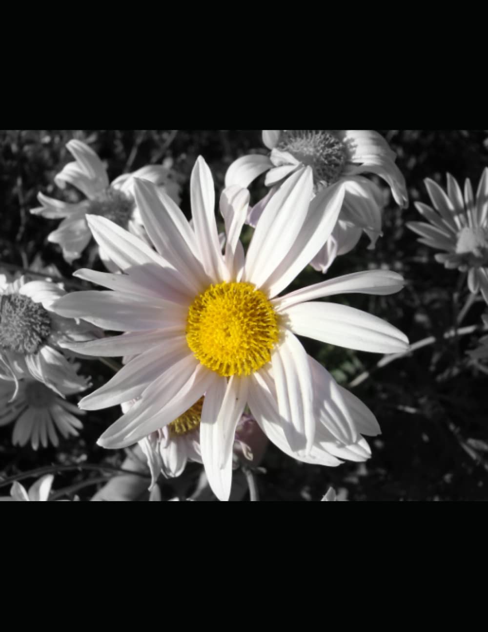 Inspirational Journal