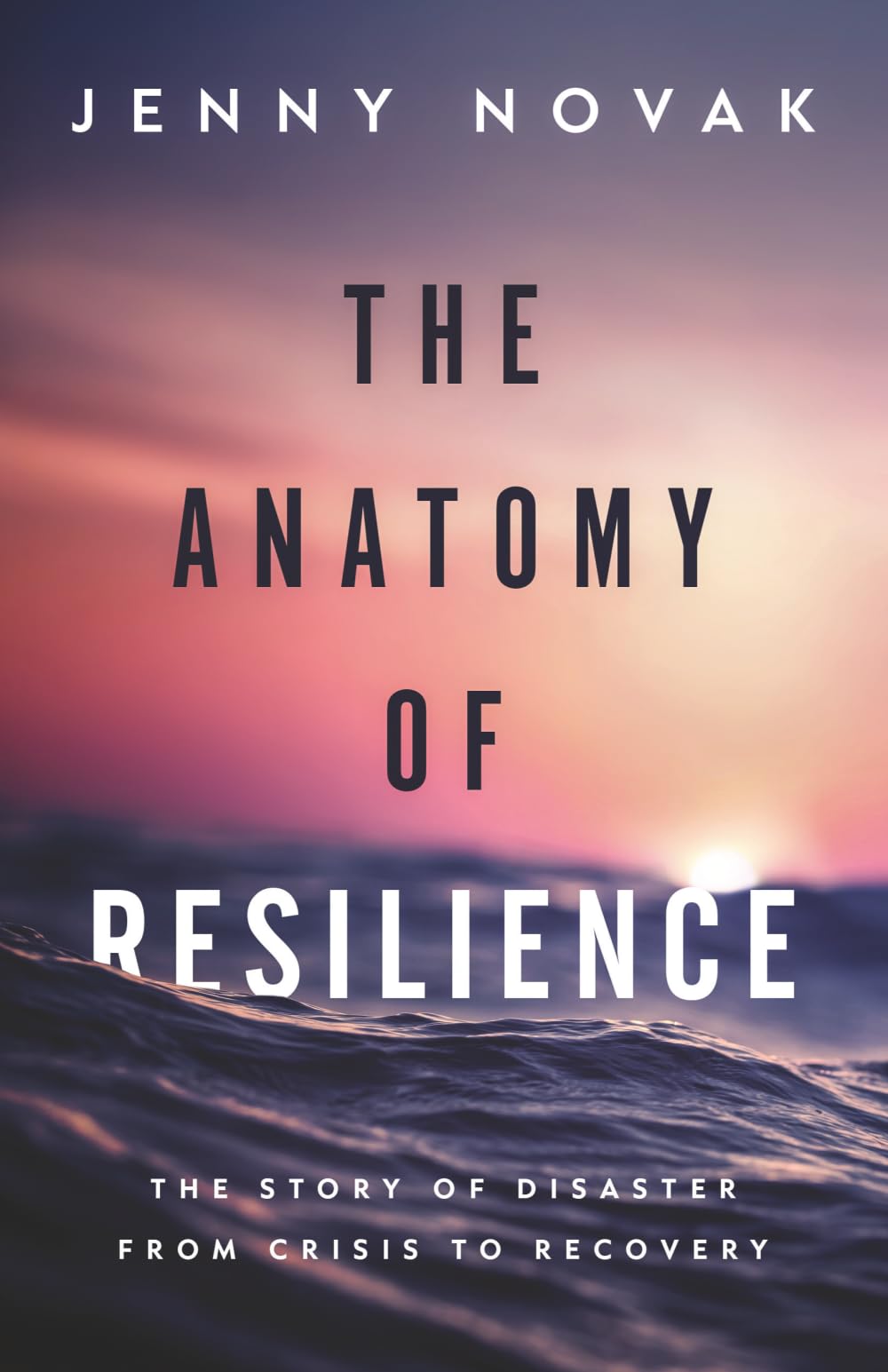 The Anatomy of Resilience: The Story of Disaster from Crisis to Recovery