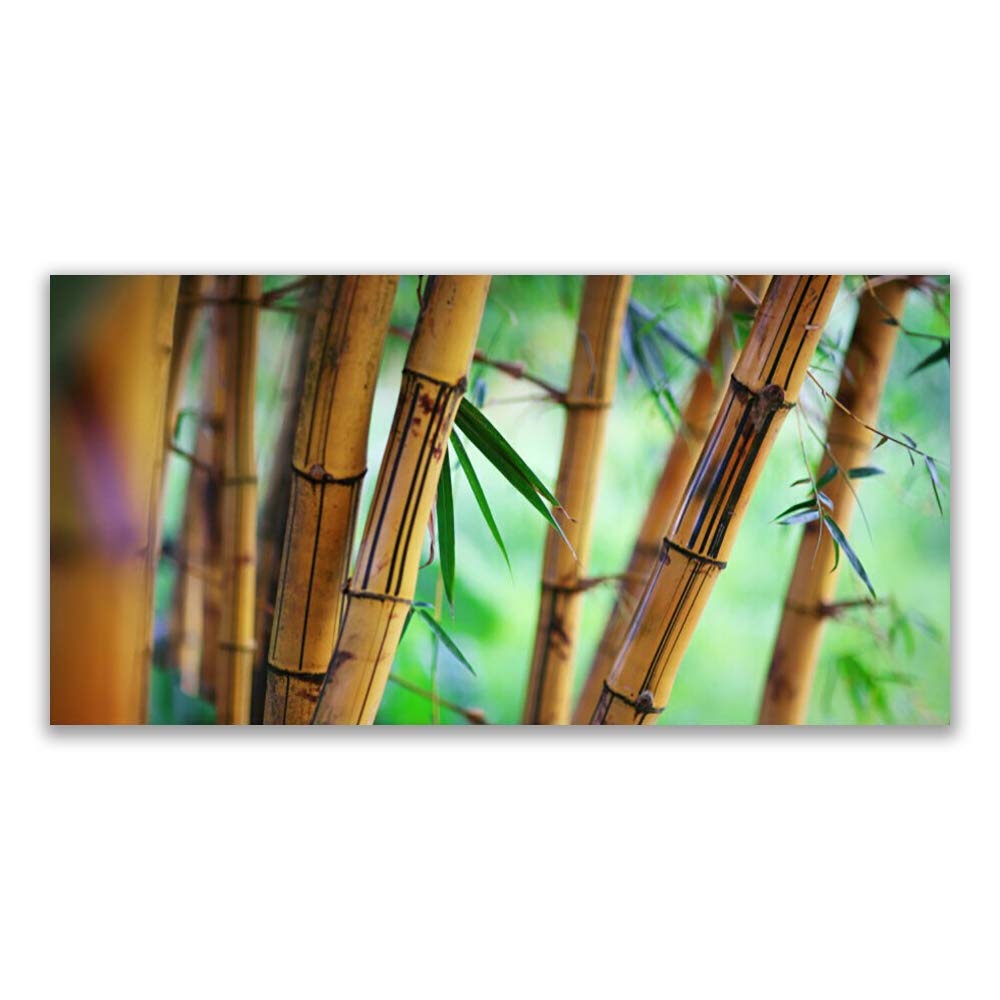 Nature Bamboo Tableau Déco Mural Moderne pour Salon Zen et Lumineux