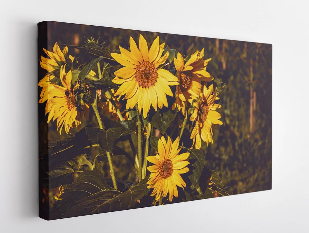 BPASunflower Flowers Summer Canvas Wall Art Framed For Bedroom Living Room Artwork Home Décor (30x40)