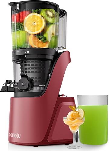 3-in-1 Entsafter Slow Juicer mit 150mm Großer Einfüllscha Canoly