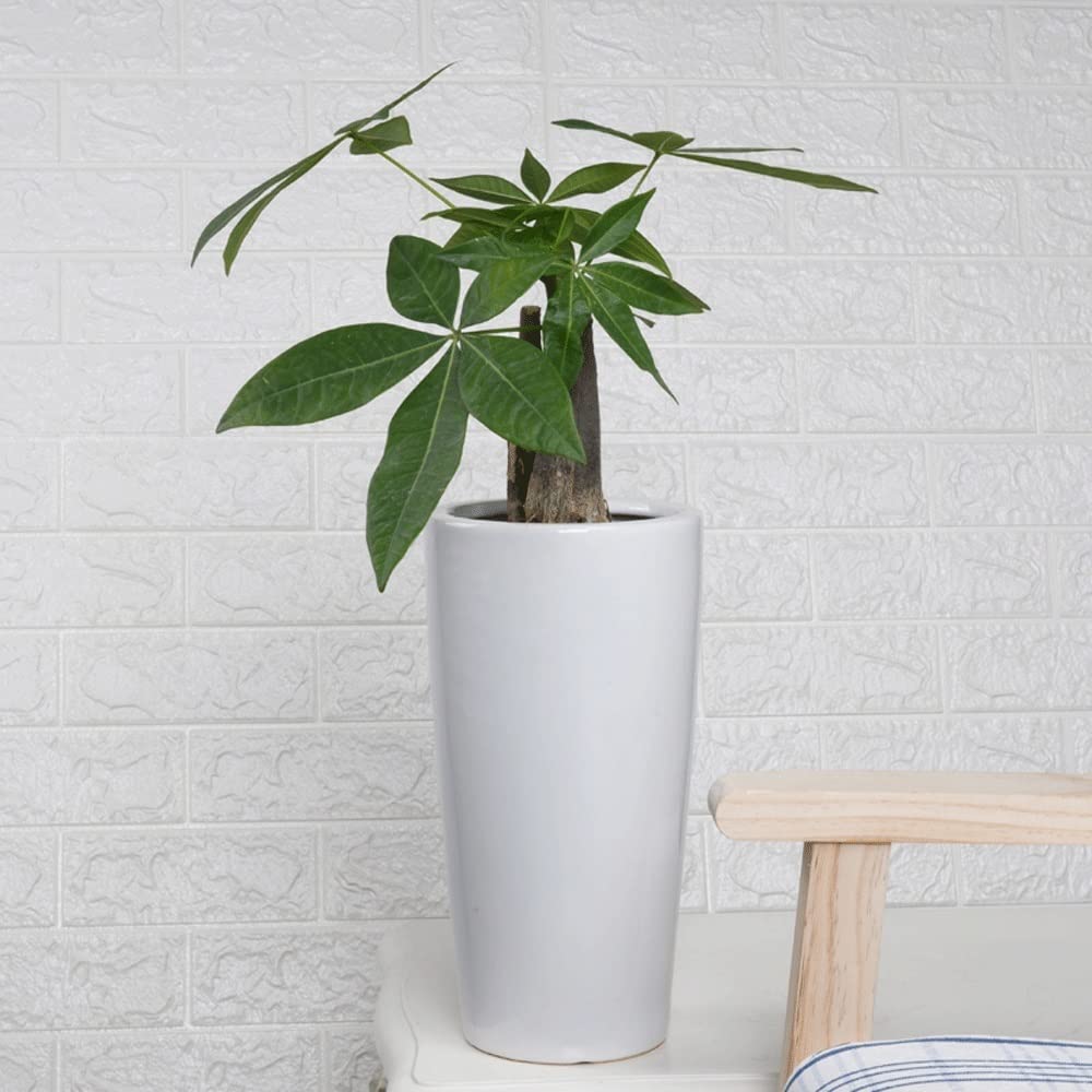 Donice Pojemniki Biała ceramiczna doniczka Dekoracja rodzinna Kreatywna seryjna ceramiczna doniczka Ceramiczna mocna i trwała