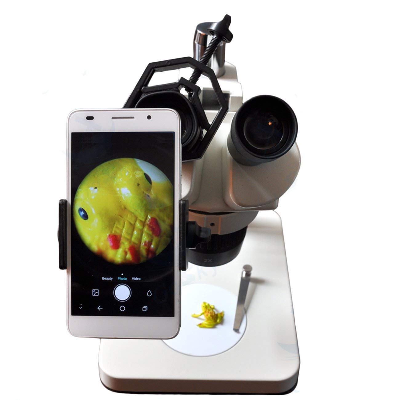 Shackcom Supporto adattatore universale per telescopio per smartphone, compatibile con binocoli monoculari e microscopio, adattatore per telefono cellulare per iPhone Sony Samsung LG Moto