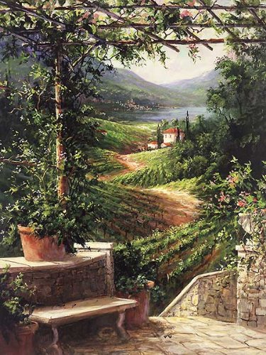 Amazon.com: Picture Peddler Chianti Vineyard Art Fronckowiak