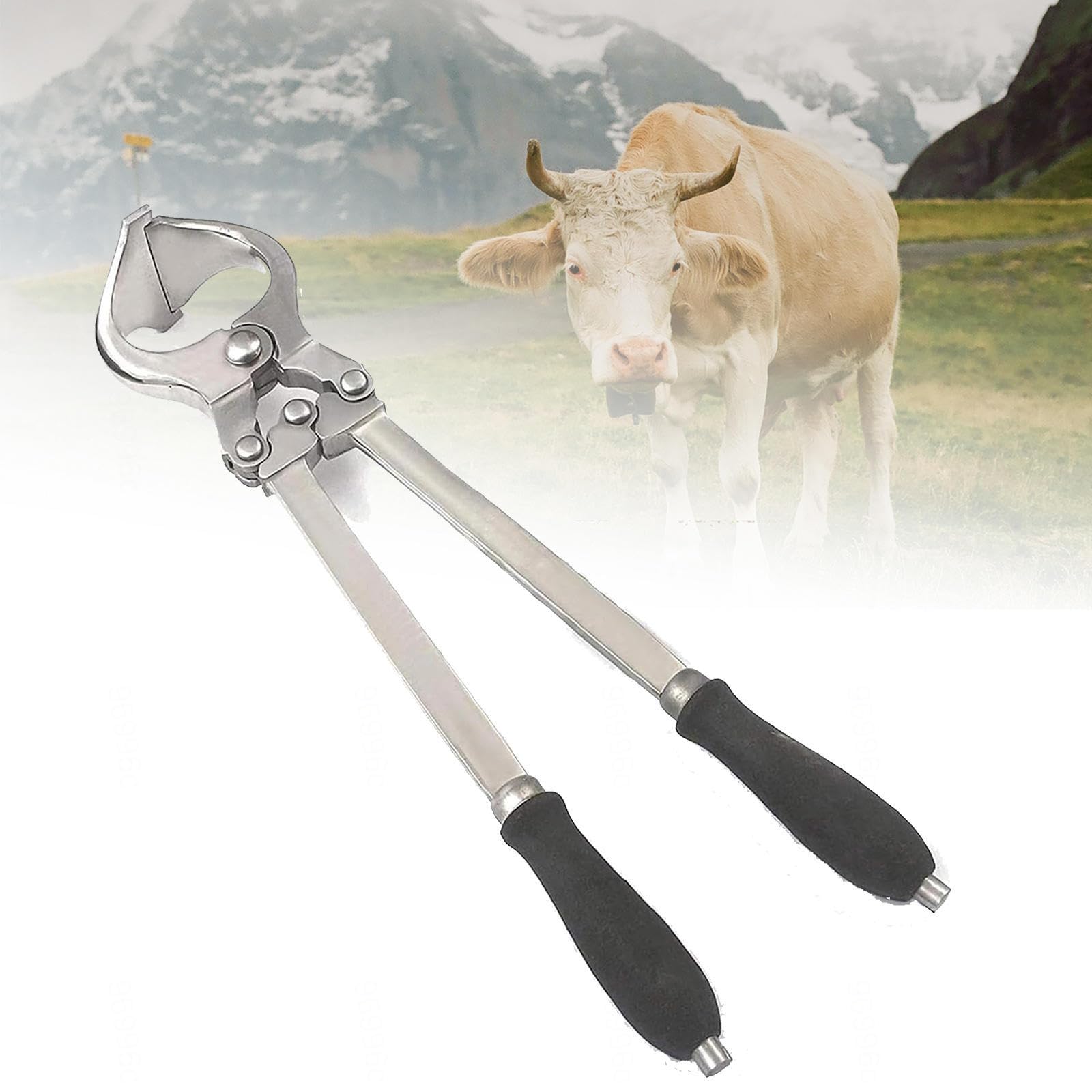 Pinza per castrazione Bovina, Pinza per castrazione in Acciaio Inossidabile, Apertura Massima 3,8 cm, Strumento Veterinario, per veterinari, allevatori e custodi di Animali