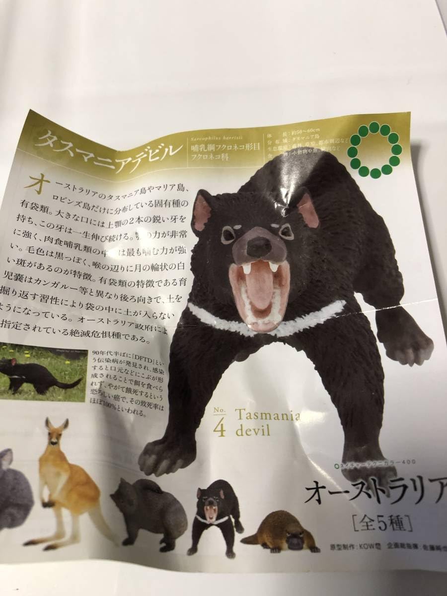 Amazon.co.jp: ネイチャーテクニカラー オーストラリア