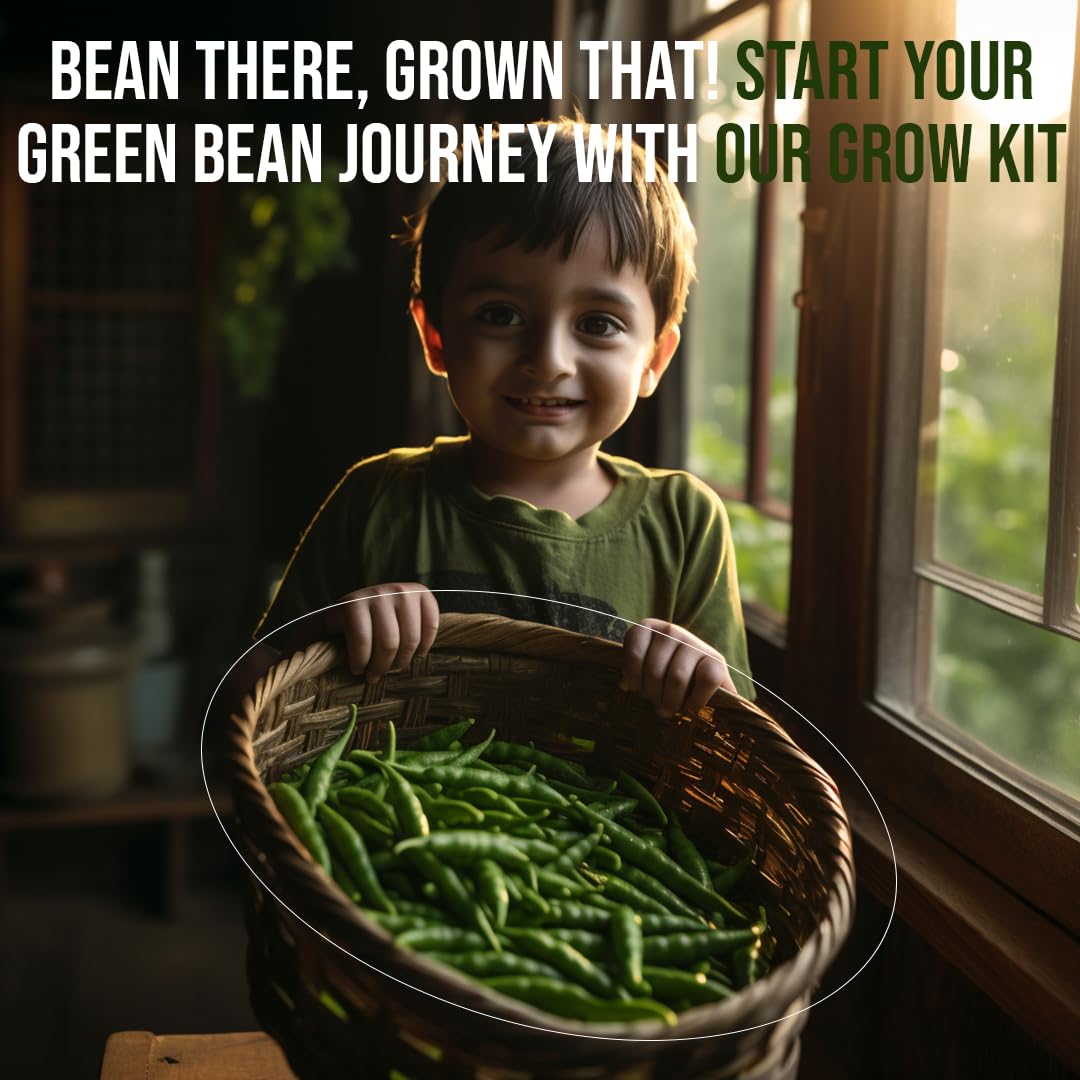 SATTVAMRIT Sattvishtik Grow Box Beans Vegetable Kit for Kids | Pack of 1 | Eco Friendly Gift for Kids | Beginner Gardeners | DIY | Easy Grow it Yourself Gardening Kit for Home & Garden 4