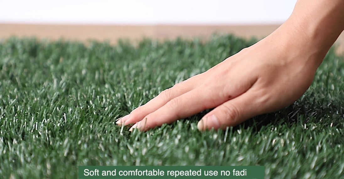 outdoor dog pee turf