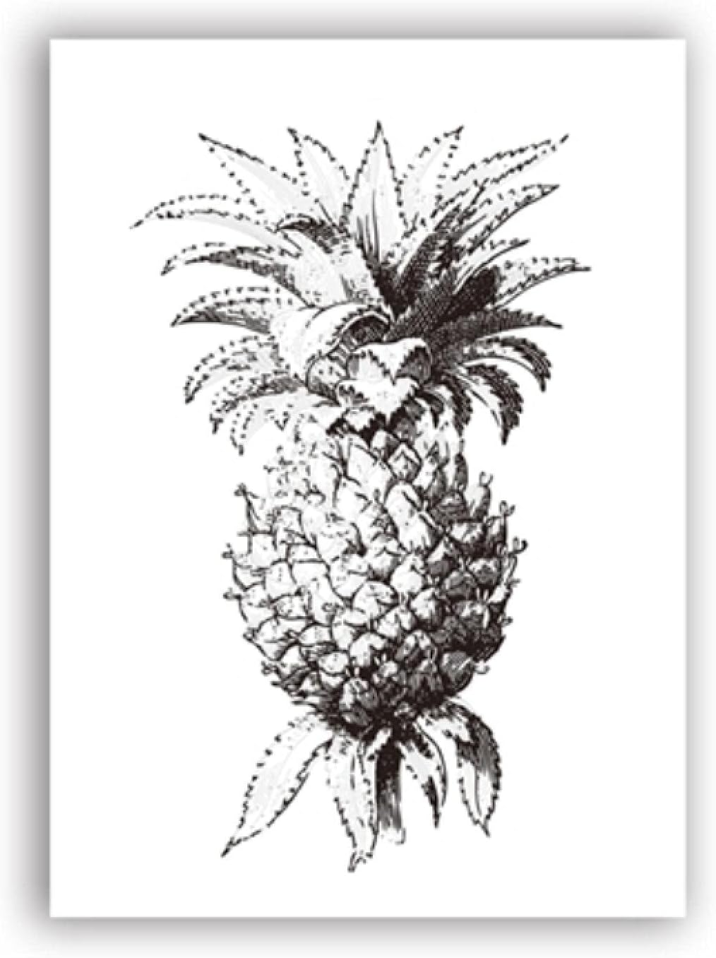 Amazon Co Jp キャンバス写真x30cm1個フレームなしヴィンテージパイナップルポスターキャンバスアートプリント絵画パイナップルイラストレトロポスター家の壁の装飾 ホーム キッチン