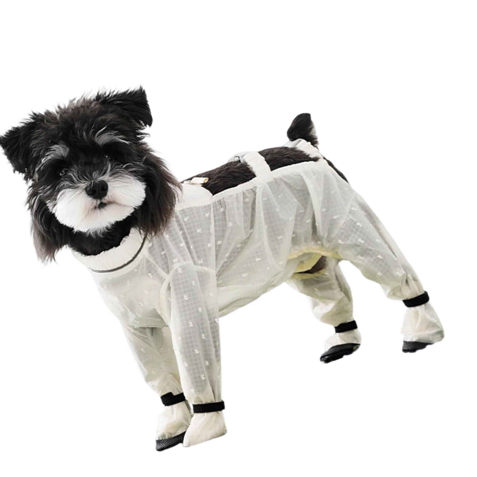 Pantalon protection chien anti-poussière imperméable avec chaussures rando