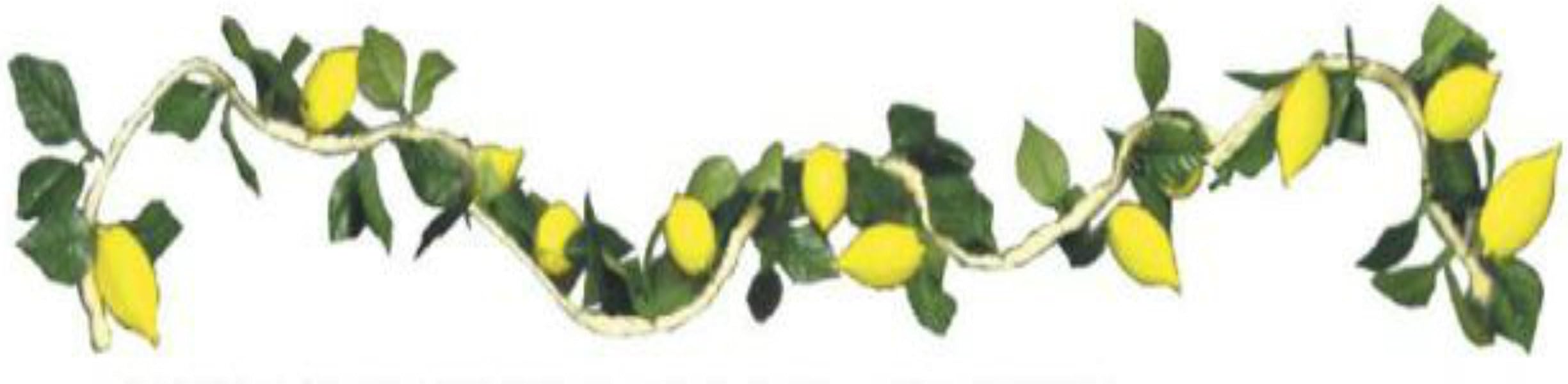 Esrog Rope Garland Sukkah Decoration