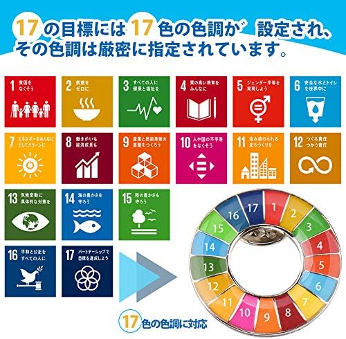 Amazon.co.jp: 20個セット SDGs バッジ 国連本部最新仕様