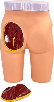 Hip Injection Training Model - Detachable Buttock Injection Practice Model with High Simulation and Clearly Visible Texture for Students and Professionals