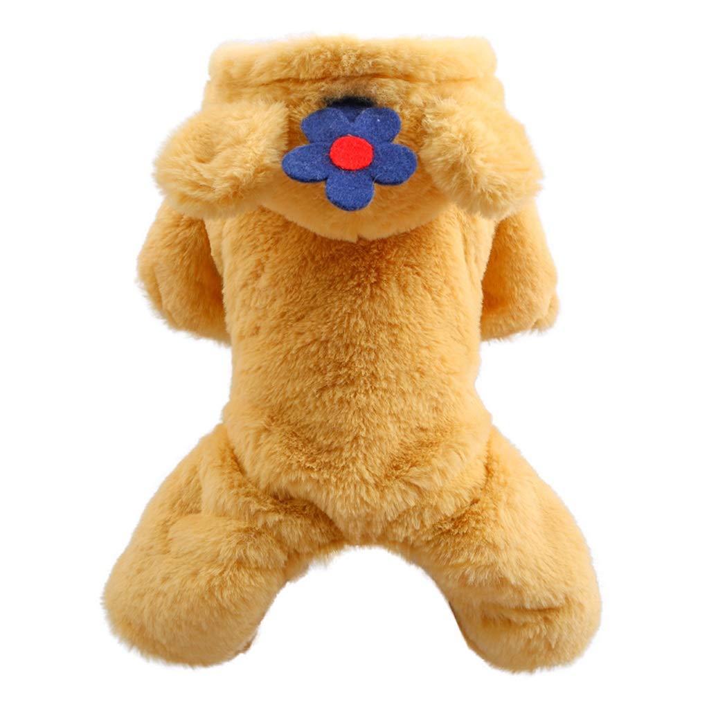 fat teddy bear dog
