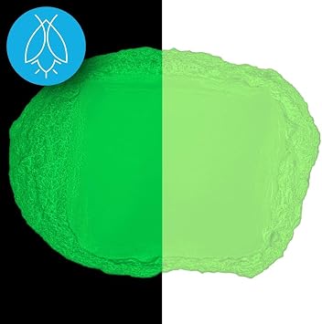 Glow in The Dark Pigment Powder - Neutral and Fluorescent Color for Art Painting, Fine Art, Nail Art Paint, and DIY Crafts - Long Lasting 10+ Color Options - Fluorescent Green - (30 Grams/1 Ounce)