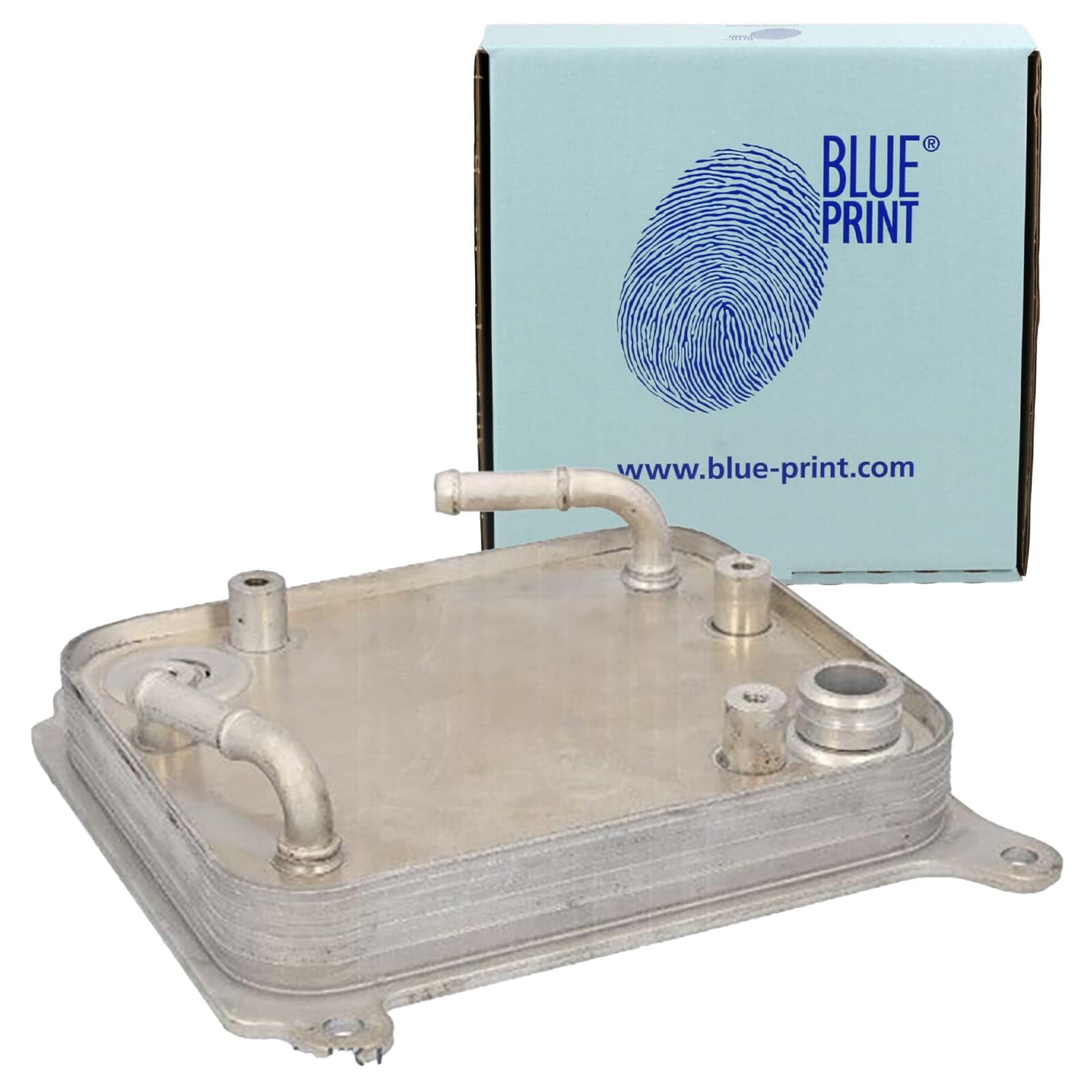 BLUE PRINT Radiatore olio, Cambio automatico ADBP610212