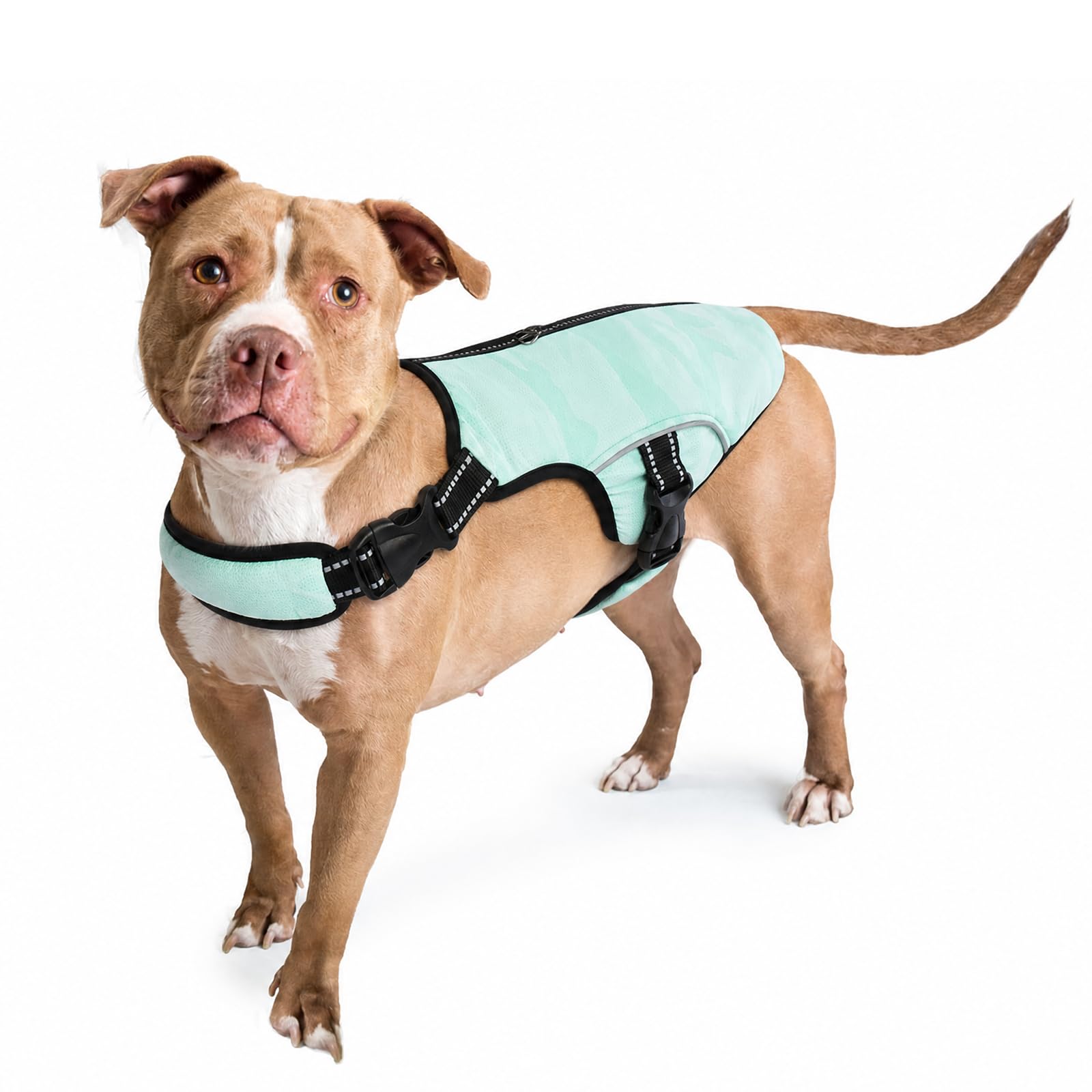 Gilet Réfrigérant pour Chien, Manteau Refroidisseur d'évaporation Manteau Rafraichissant pour Chien Veste de Refroidissement Confortable Protection Contre Le Soleil(Vert, L)