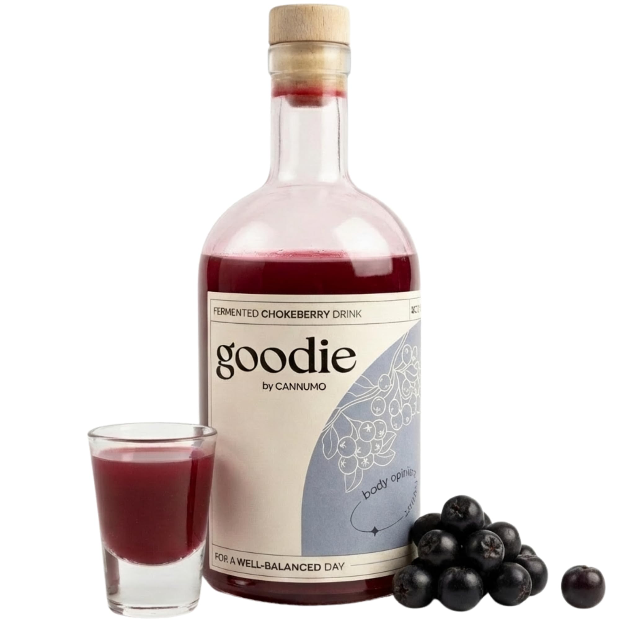 Goodie Fermented Superfood Drink - Probiotisches Wellnessgetränk, 500ml Flasche, Darmgesundheit, antioxidantienreich, vegan, natürliche Inhaltsstoffe, verschiedene Geschmacksrichtungen (500ml,