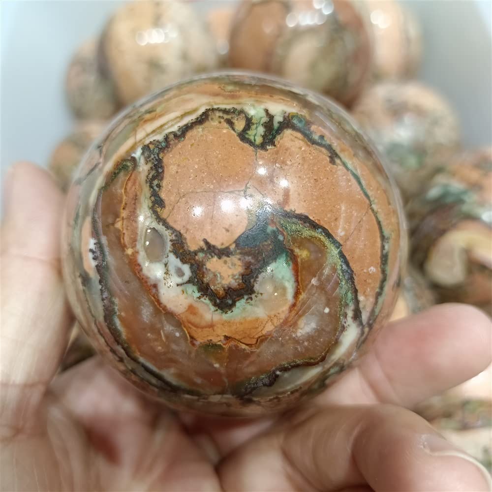 期間限定　フェニックス　プレート　瞑想 期間限定フェニックスプレート瞑想