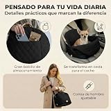 Ver la foto 8
