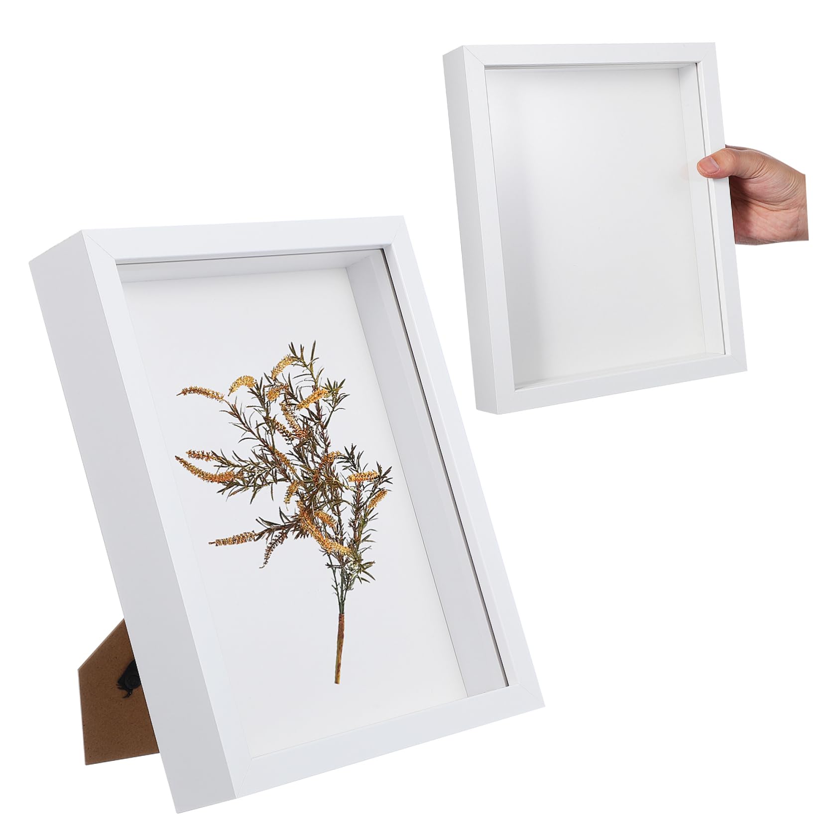 iplusmile Cornice 3d Specimen Frame Design Unico per Fiori Secchi e Foto 2 Pezzi in Legno Bianco per Ricordi di Matrimonio e Anniversari