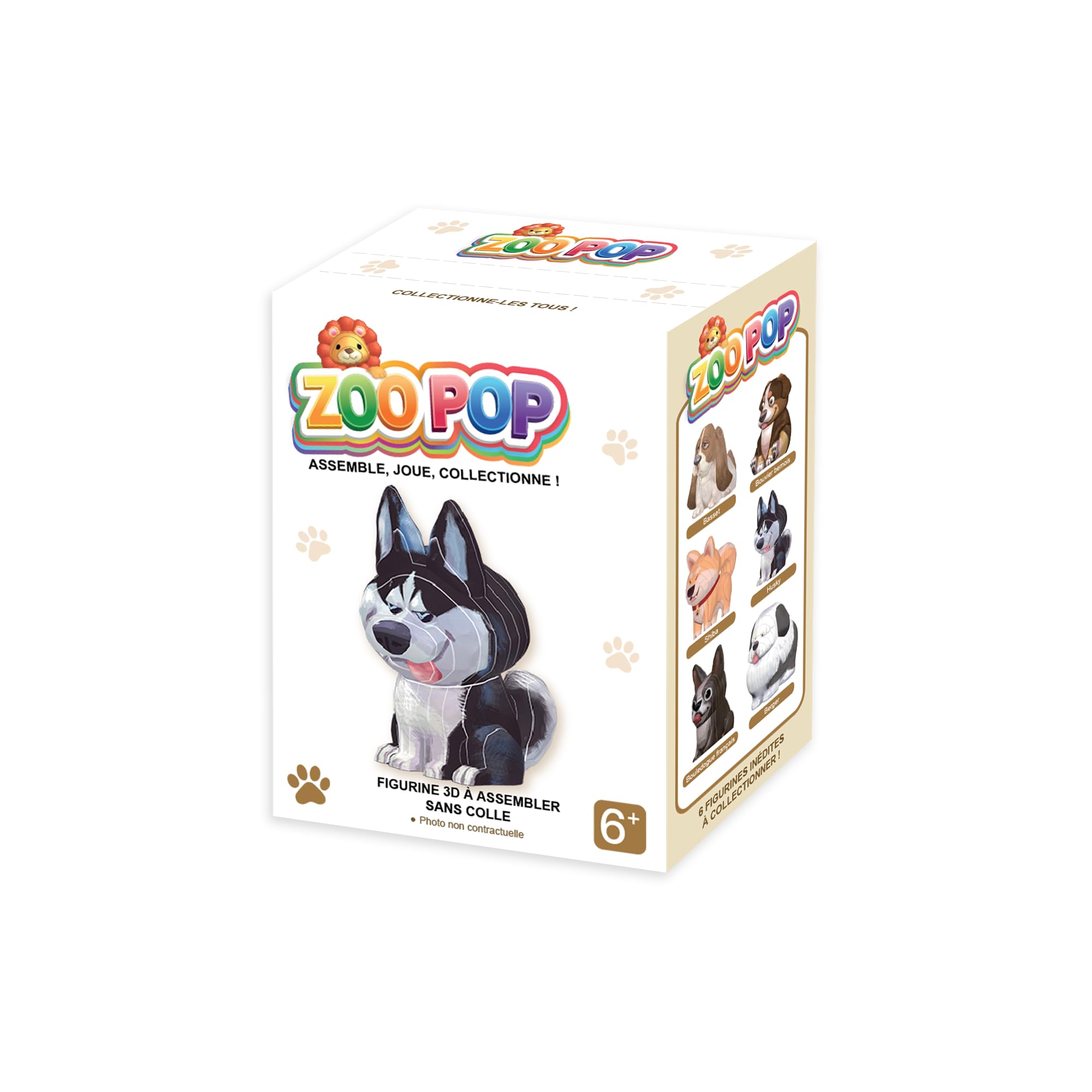 ZOO POP Espositore con 6 Personaggi 3D da Assemblare Senza Colla – Cani (Basset, Pastore, Bulldog Francese, Bovaro del Bernese, Husky, Shiba) – Attività Creativa – Personaggi da Collezione