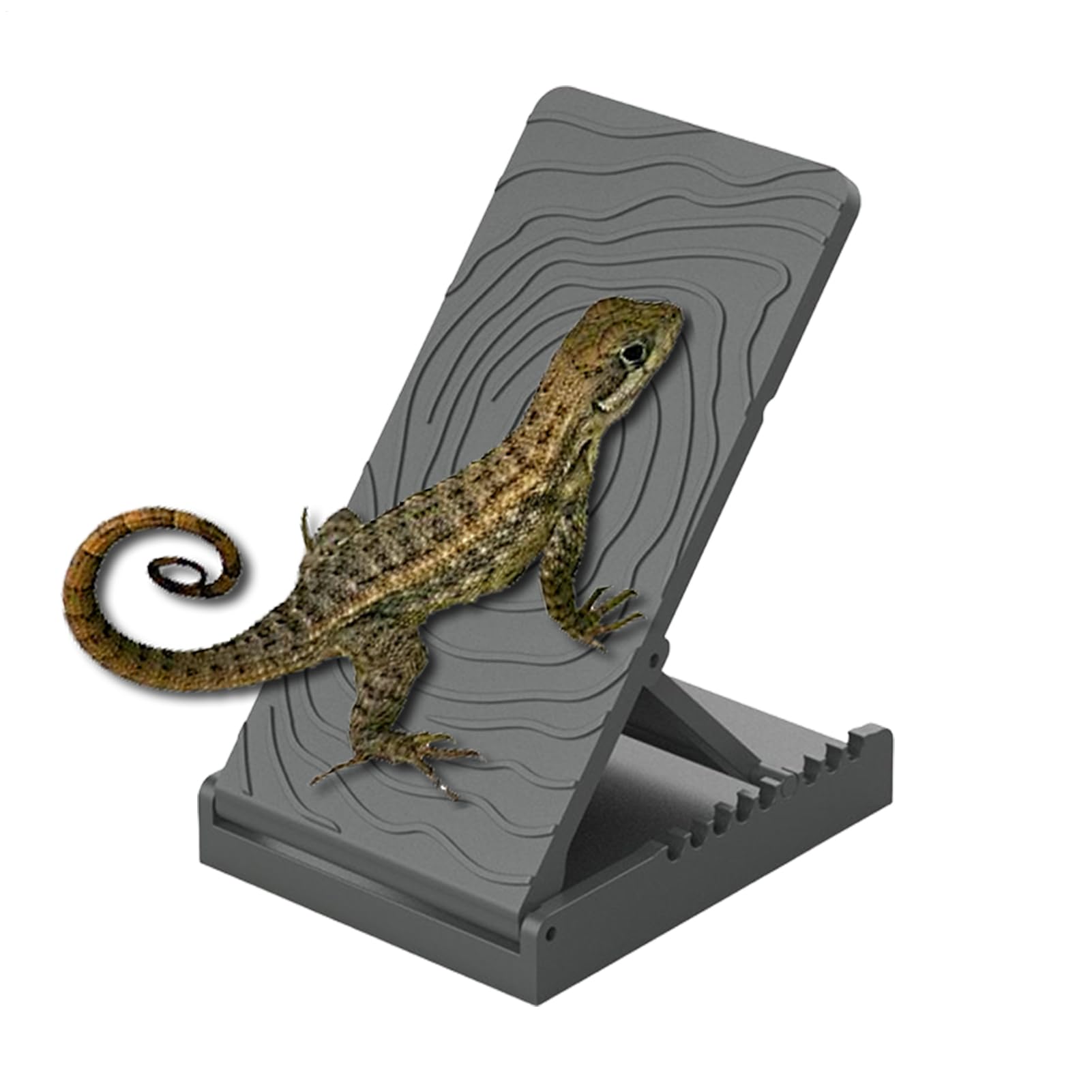 Lizard Climbing Step - PP Adjustable Tank Ramp, Foldable Vivarium Accessory | Non-Slip Height Resting For Bearded Dragon Habitat, Snake Feeding Station, Tortoise Chameleon Frog Pet Enclosure