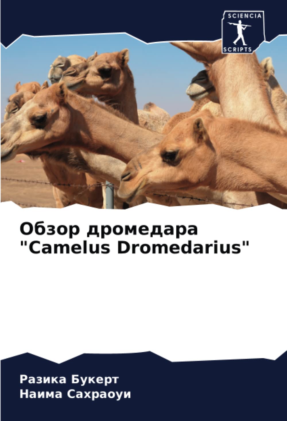 Обзор дромедара "Camelus Dromedarius"