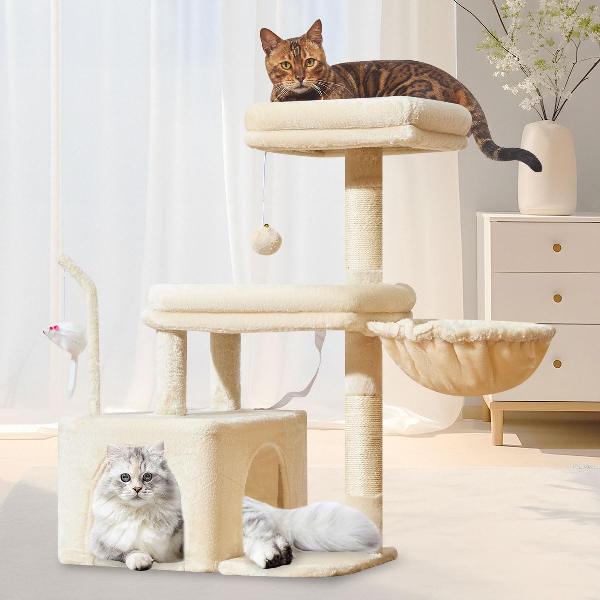 Amazon.com : Taoqimiao 32.2-Inch Cat Tree for Small to Medium Cats