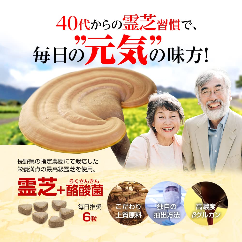 長野産最高級霊芝茶 3袋　癌予防、免疫力向上  コロナ 対策　不老不死霊芝健康茶 国産 霊芝 スライス 100g 霊芝茶 健康茶 無農薬 日本製 おちゃ お茶 茶