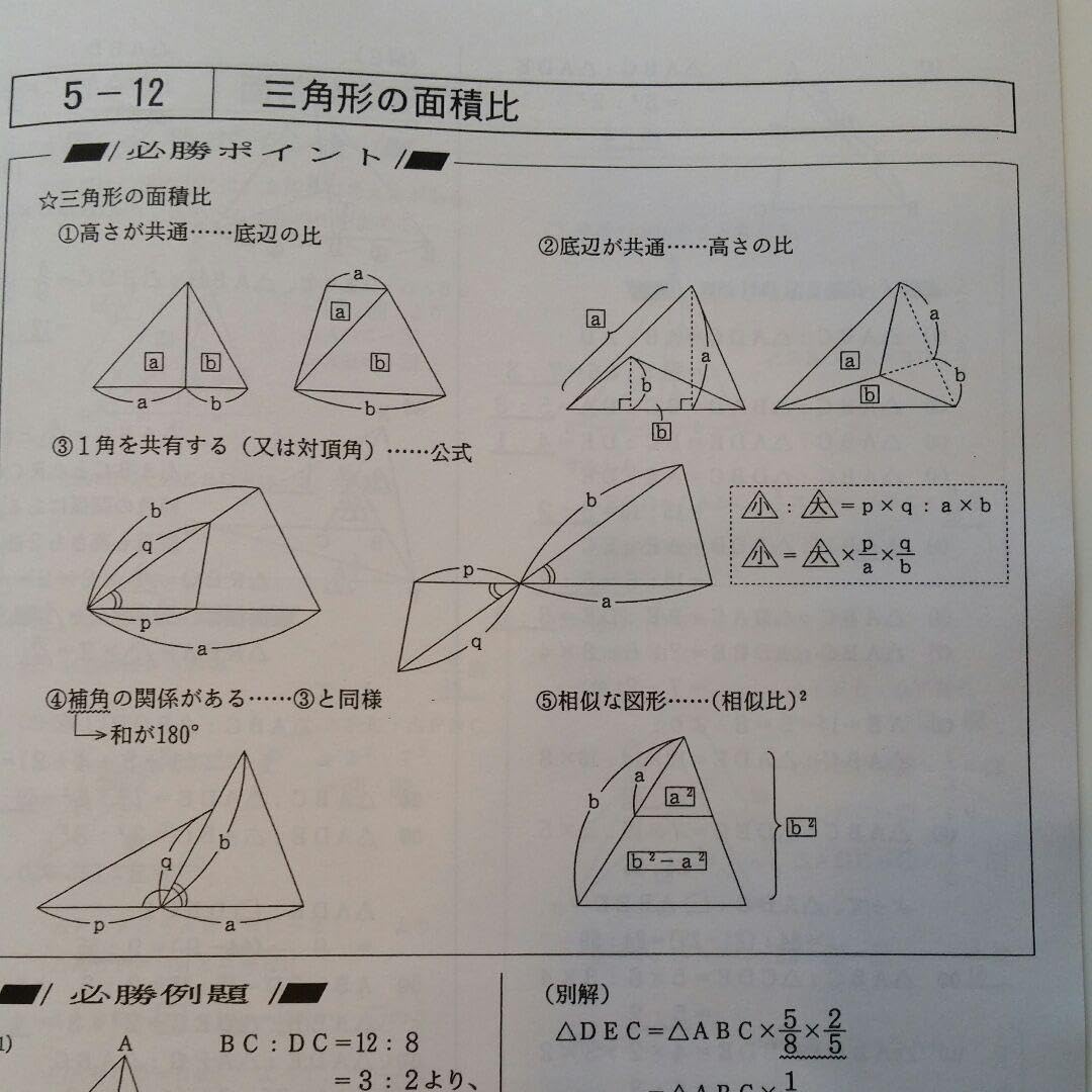 Amazon.co.jp: 早稲アカ 上位校への数学スタンダード 解説プリントのみ 