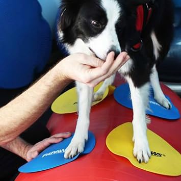 FitPaws Targets, Dog Fitness and Agility Training, Rehabilitation Tool