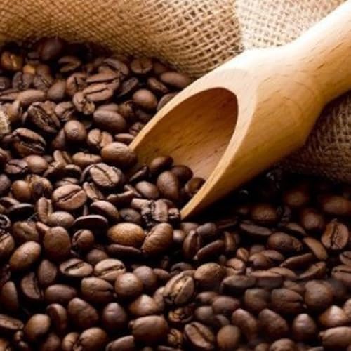 12回 定期便 自家焙煎 スペシャルティコーヒー 季節のギフトセット 200g 2種類 総計4.8kg [挽き] [アフターゲームカフェ 山梨県 韮崎市 20743930]