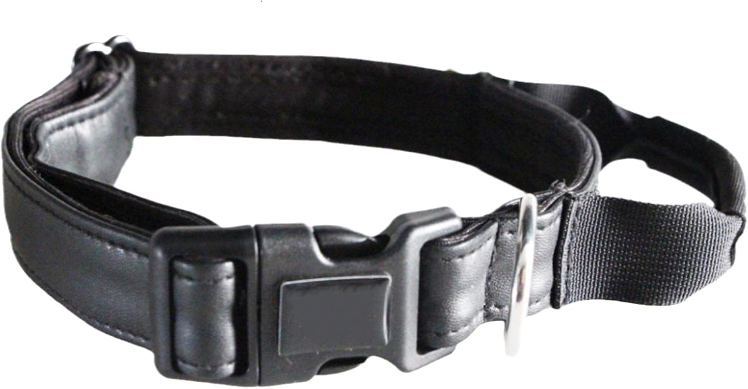Collier pour chien en cuir robuste avec poignée intégrée de dressage réglable M