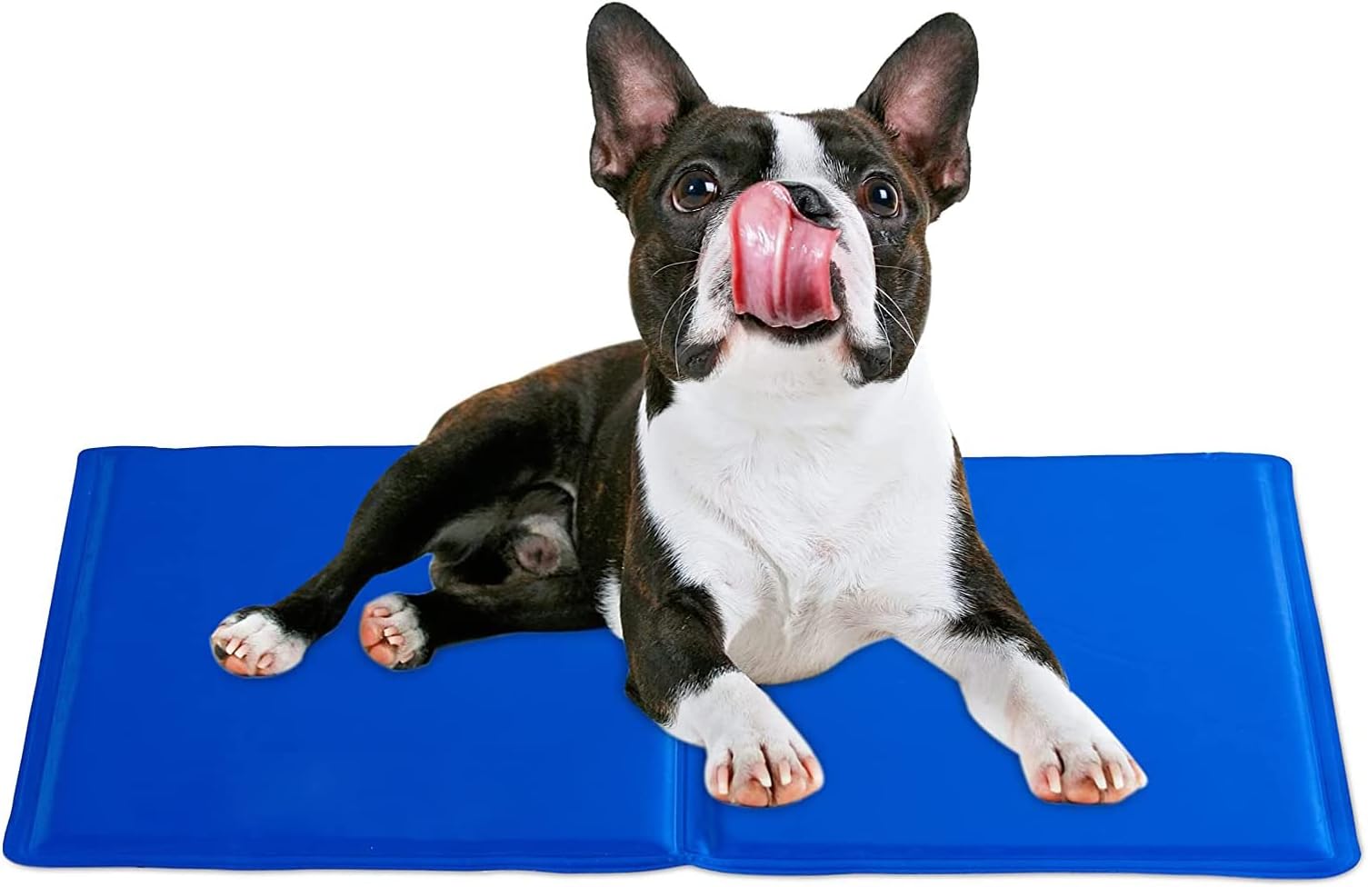 Lauva Dog Cooling Mat Medium, Self Cool Gel Mat Cold Ice Pads NonToxic