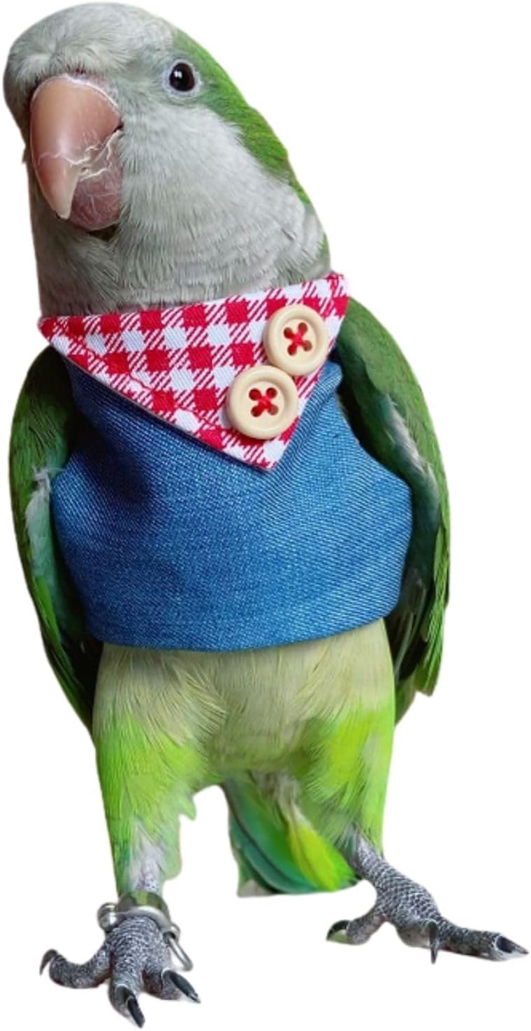 Bird Clothes, Cute Parrot Jeans Flight Suit Parrot Bird Supplies, Light Flying Clothes, Warm and Comfortable Monk Parrot, African Greys, Parakeet, Sun Conure (Without Diaper-2XL)