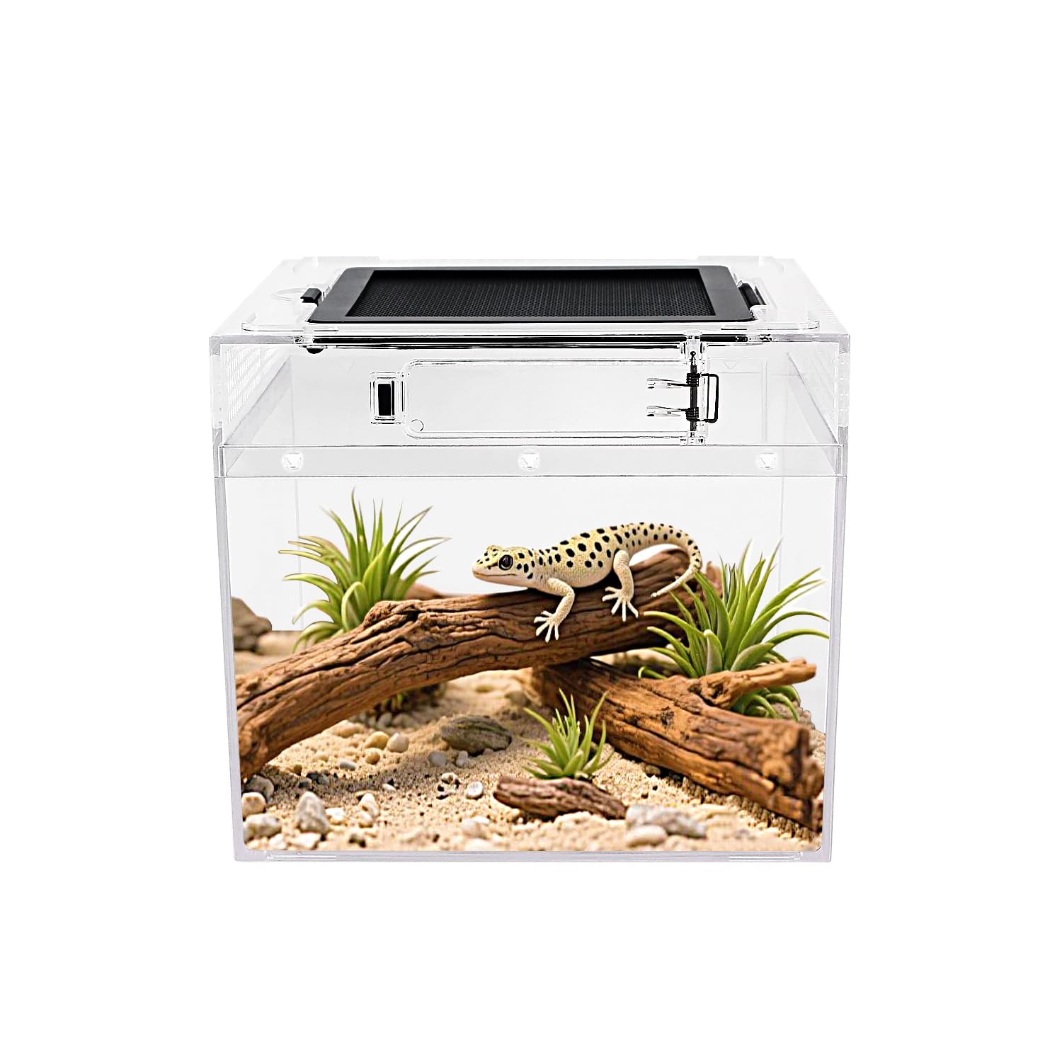 Reptile Growth Mini Reptile Terrarium,8