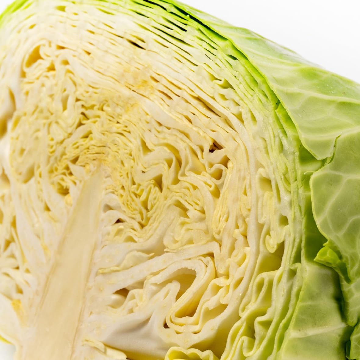 Amazon.co.jp: Cabbage, 1/2 Cut, 7.1 oz (200 g) : Food, Beverages