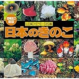 増補改訂新版 日本のきのこ (山溪カラー名鑑)