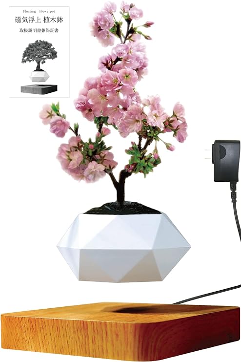 Amazon Co Jp 磁気浮上 植木鉢 Floating Flowerpot フローティング フラワーポット 木目 茶 薄 浮く 植木鉢 浮遊 プランター 盆栽鉢 空中浮遊 オブジェ 造花 インテリア ドライフラワー インテリア おしゃれ 装飾 誕生日 クリスマス プレゼント Diy 工具 ガーデン