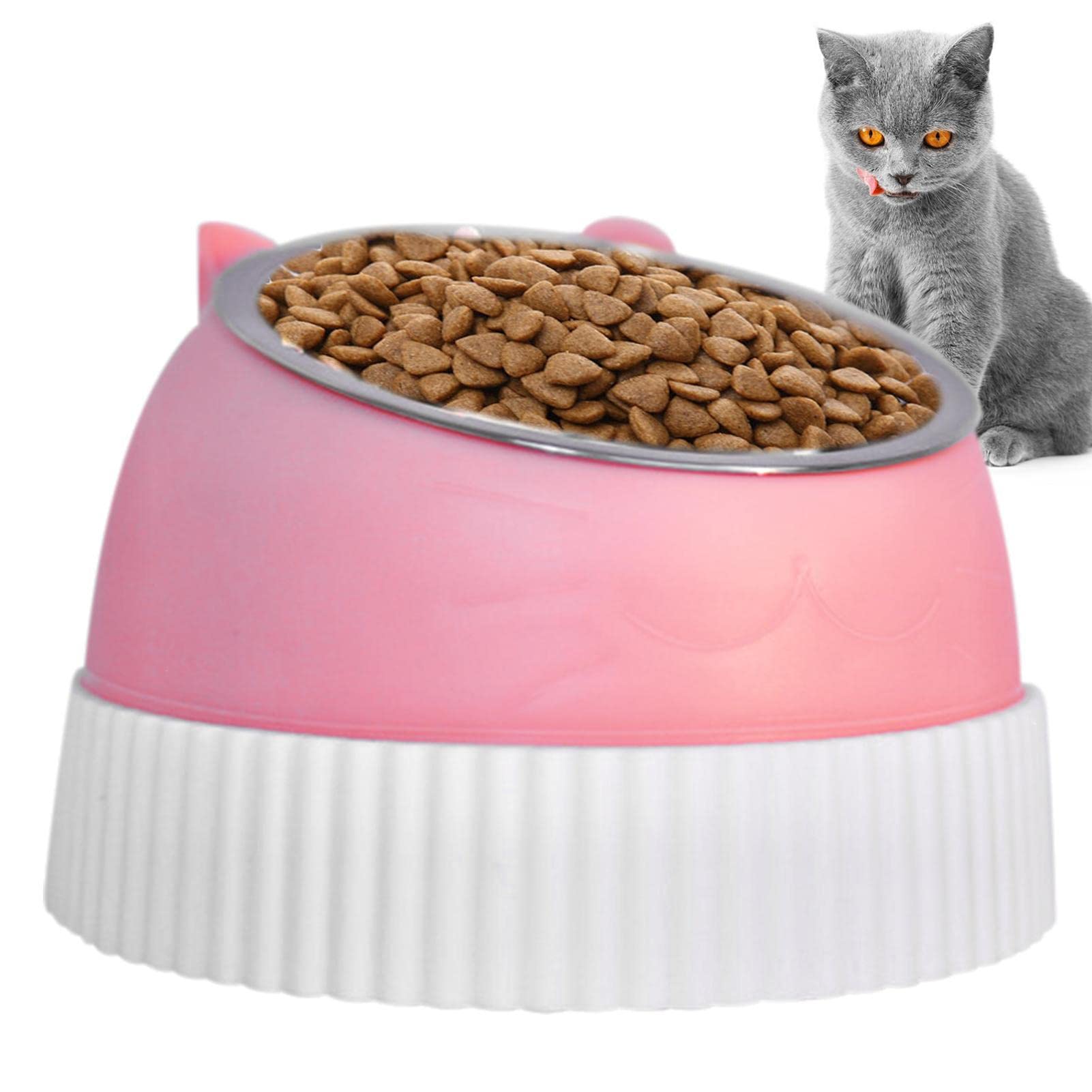 Rianpesn Anti Vomit Cat Bowls for Indoor Cats - Whisker-Friendly Anti-Vomit 15-Degree Tilt Cat Plate,Wide Raised Cat Dishes Non-slip and Anti-Rust, For Indoor Cats and Small Dog