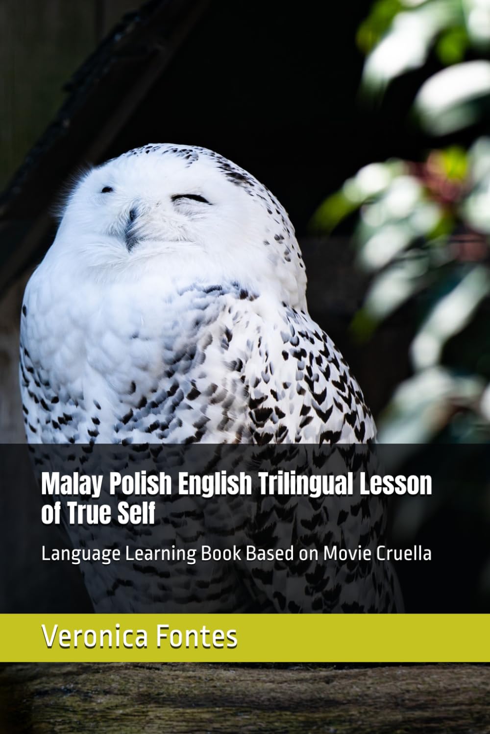 Malay Polish English Trilingual Lesson of True Self: Language Learning Book Based on Movie Cruella