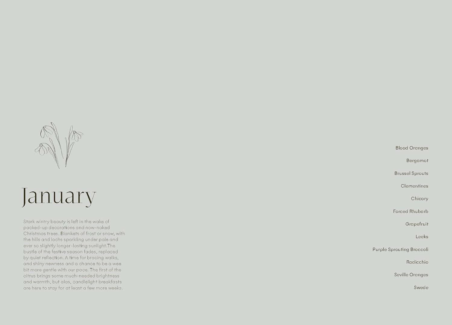 Winter in the Highlands: Eating, Drinking and Celebrating in Scotland - Image 10