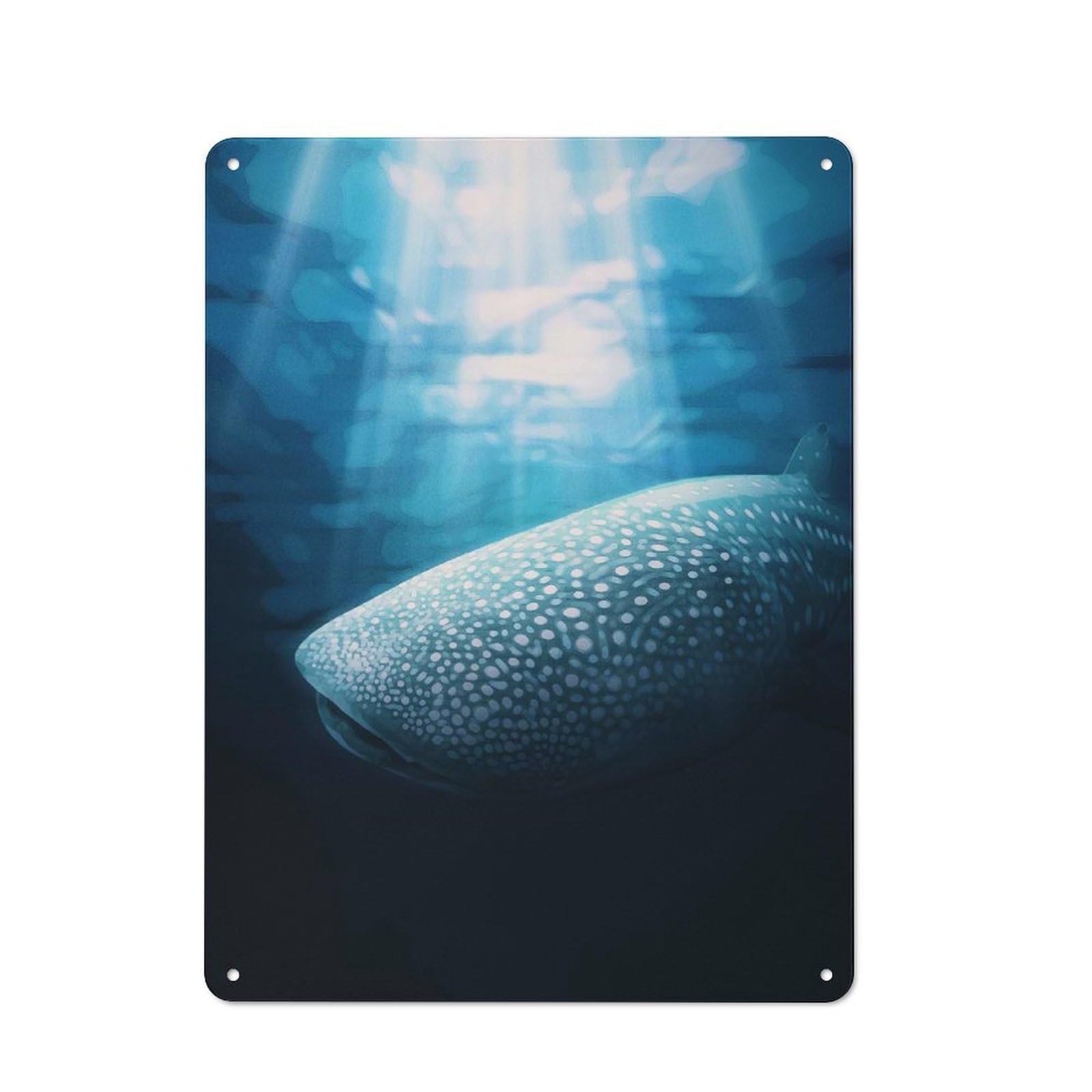 Junmoney Style-13 Whale Shark Blue 2 Farmhouse Metal Sign 40X30cm, Rustic Country Wall Plaque For Farmhouse Kitchen, Pantry Or Dining Area