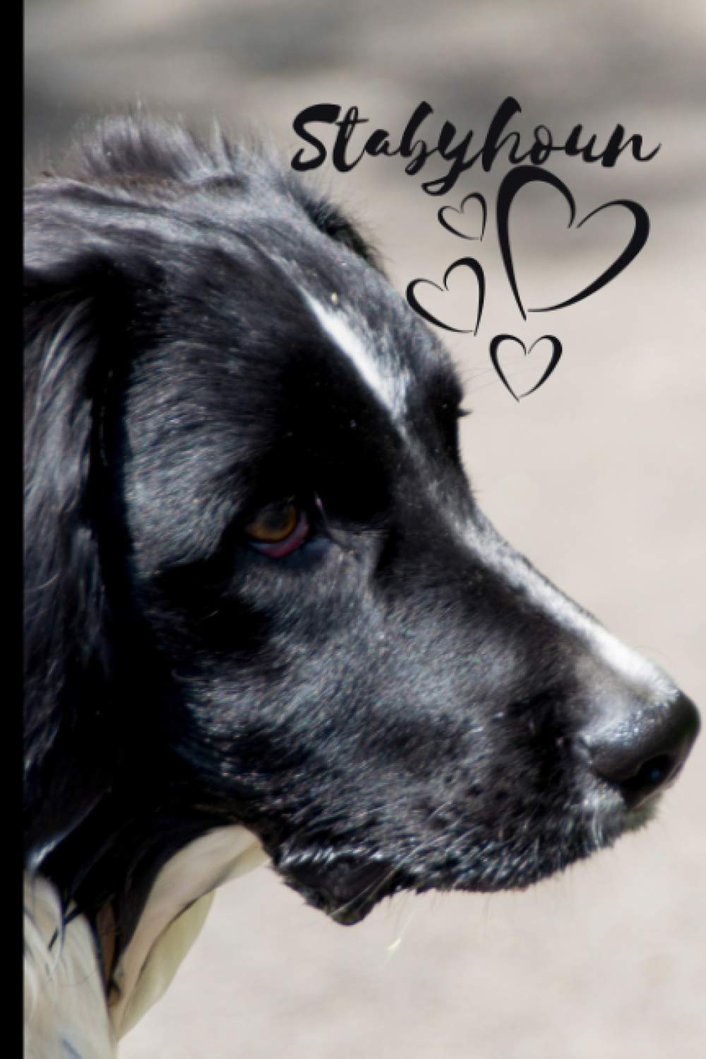 Stabyhoun Dog Notebook For Dog Lovers: Composition Notebook 6x9" Blank Lined Journal