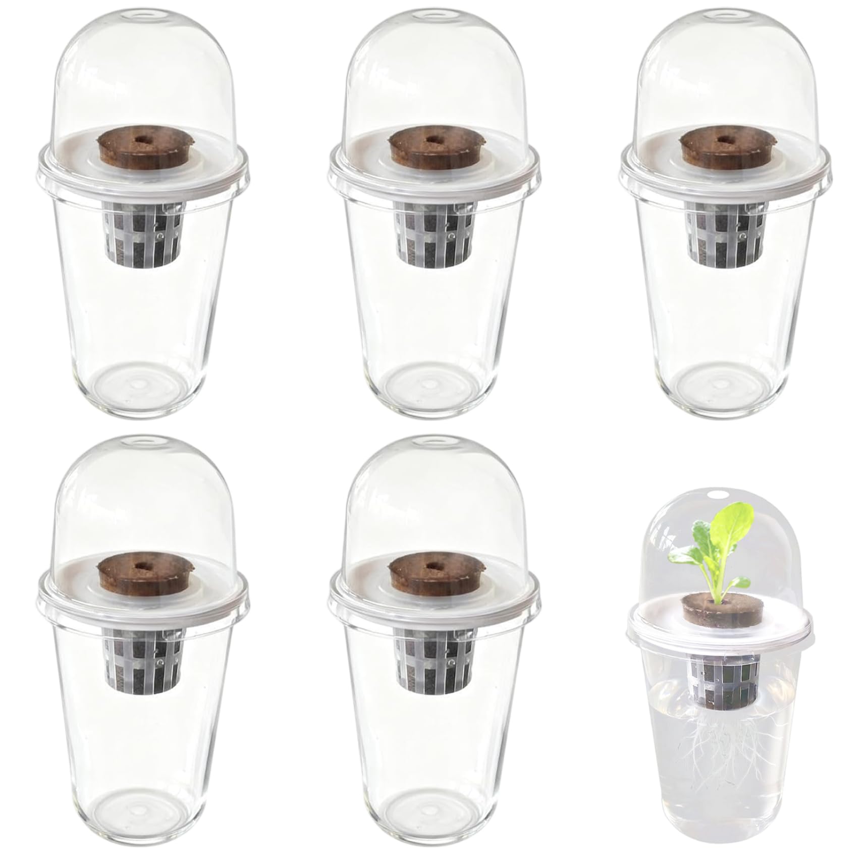 Porgeel Transparent Hydroponics Growing System Kit 5 Set Clear Plastic Hydroponic Cups Non Slip Plant Germination Kit