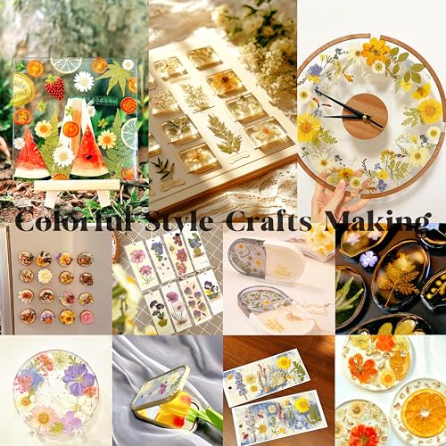 Kit de 48 flores prensadas secas naturales para manualidades miniatura 3